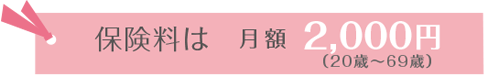保険料は誰でも2000円